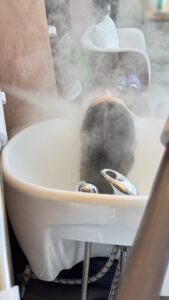 Tratamento de hidratação do cabelo com ozonioterapia